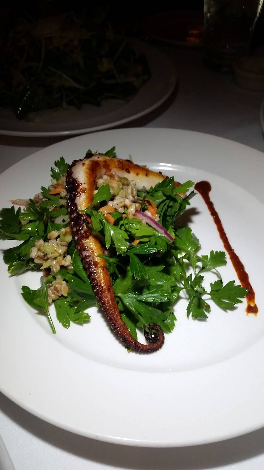 Red Onion | restaurant | 1654 NY-212, Saugerties, NY 12477, USA | 8456791223 OR +1 845-679-1223