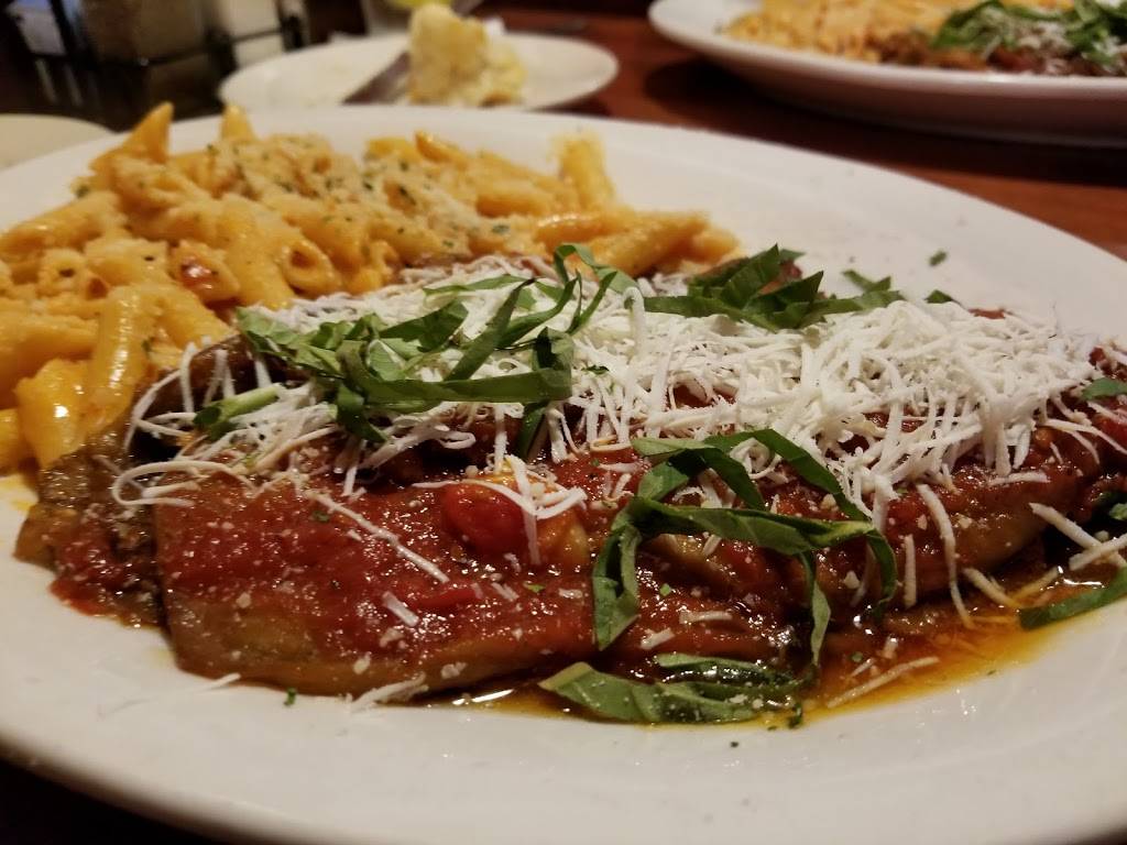 Cafe Cibo | restaurant | 8697 4th St N, St. Petersburg, FL 33702, USA | 7275791570 OR +1 727-579-1570