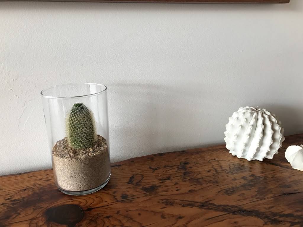 Worth Takeaway | restaurant | 218 W Main St, Mesa, AZ 85201, USA | 4808332180 OR +1 480-833-2180