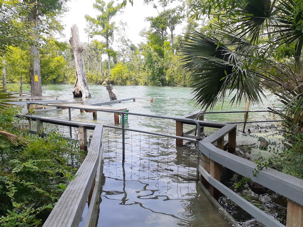 Up The Creek Cafe / Restaurant | restaurant | 4820 US-90, Marianna, FL 32446, USA | 8505261009 OR +1 850-526-1009