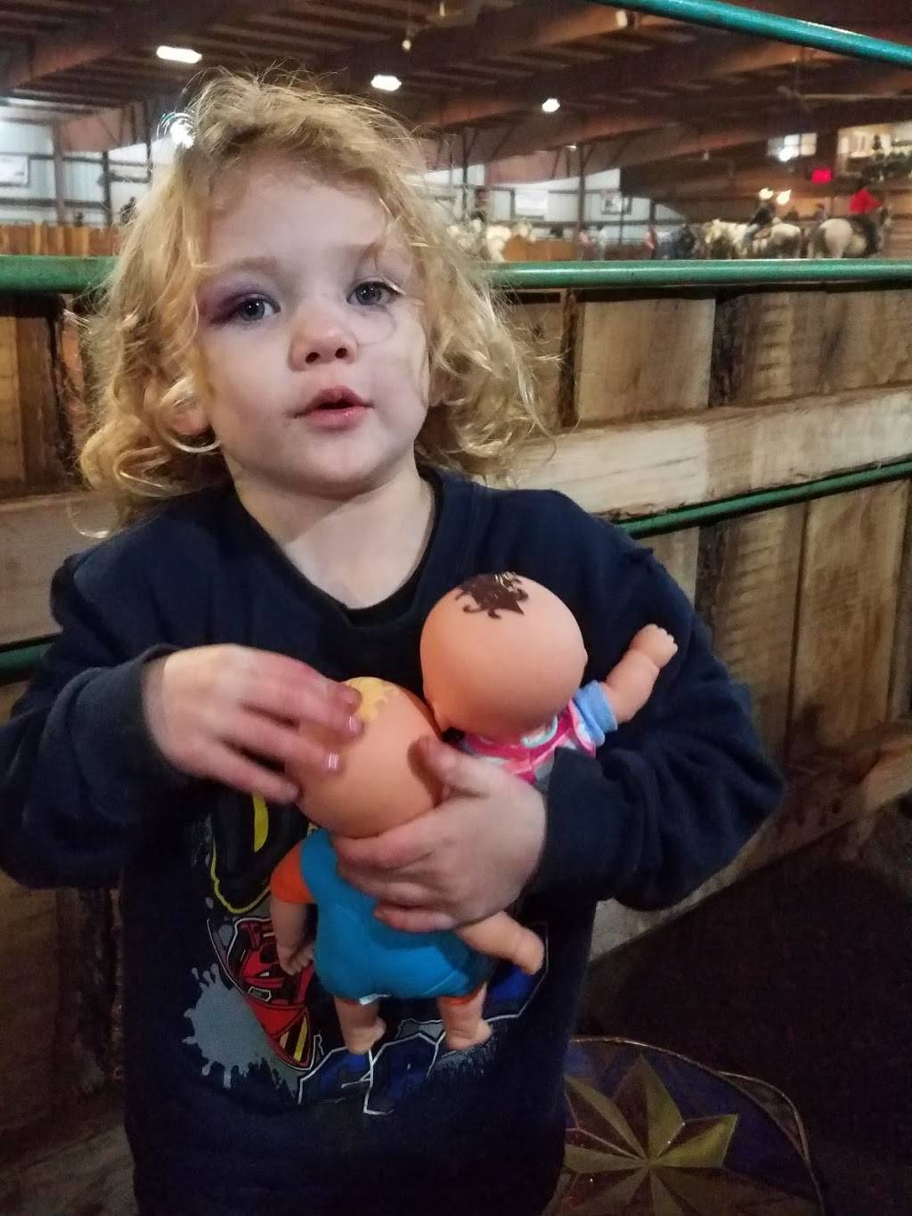 Longhorn ARENA | restaurant | 8802 State Hwy M, Mt Vernon, MO 65712, USA | 3083802244 OR +1 308-380-2244