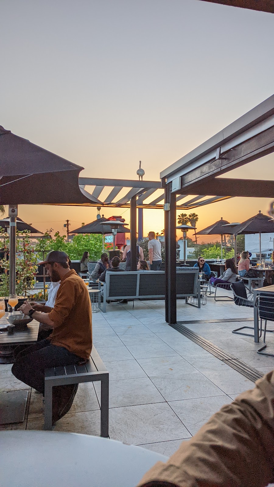 Kairoa Brewing Company | restaurant | 4601 Park Blvd, San Diego, CA 92116, USA | 6192951355 OR +1 619-295-1355