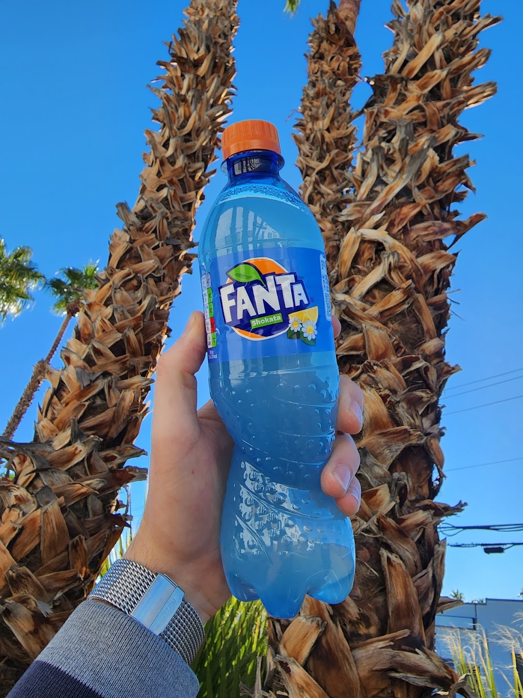 Exotic Soda Co. | meal takeaway | 5100 S Cleveland Ave, Fort Myers, FL 33907, USA | 2392886437 OR +1 239-288-6437