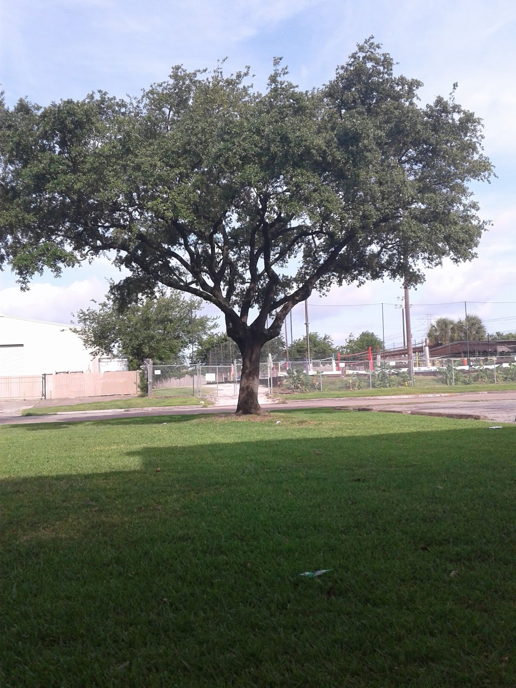 Tacos El Ranchero | restaurant | 6740 Harwin Dr., Houston, TX 77036, USA | 7132665076 OR +1 713-266-5076