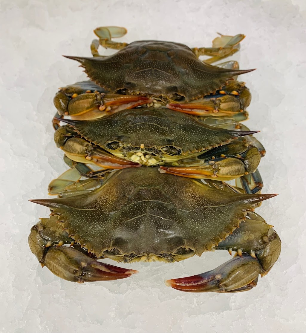 A Seafood Market Grill | meal takeaway | 49 Wheeler Ave, Pleasantville, NY 10570, USA | 9144953261 OR +1 914-495-3261