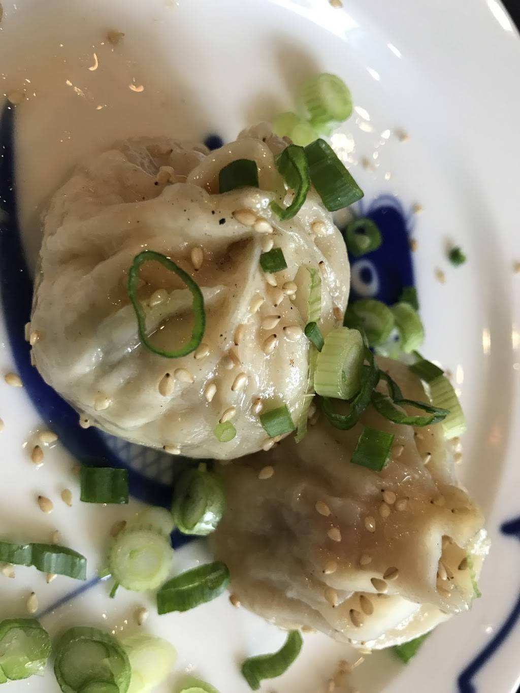 Bao Bao Dumpling House | restaurant | 133 Spring St, Portland, ME 04101, USA | 2077728400 OR +1 207-772-8400