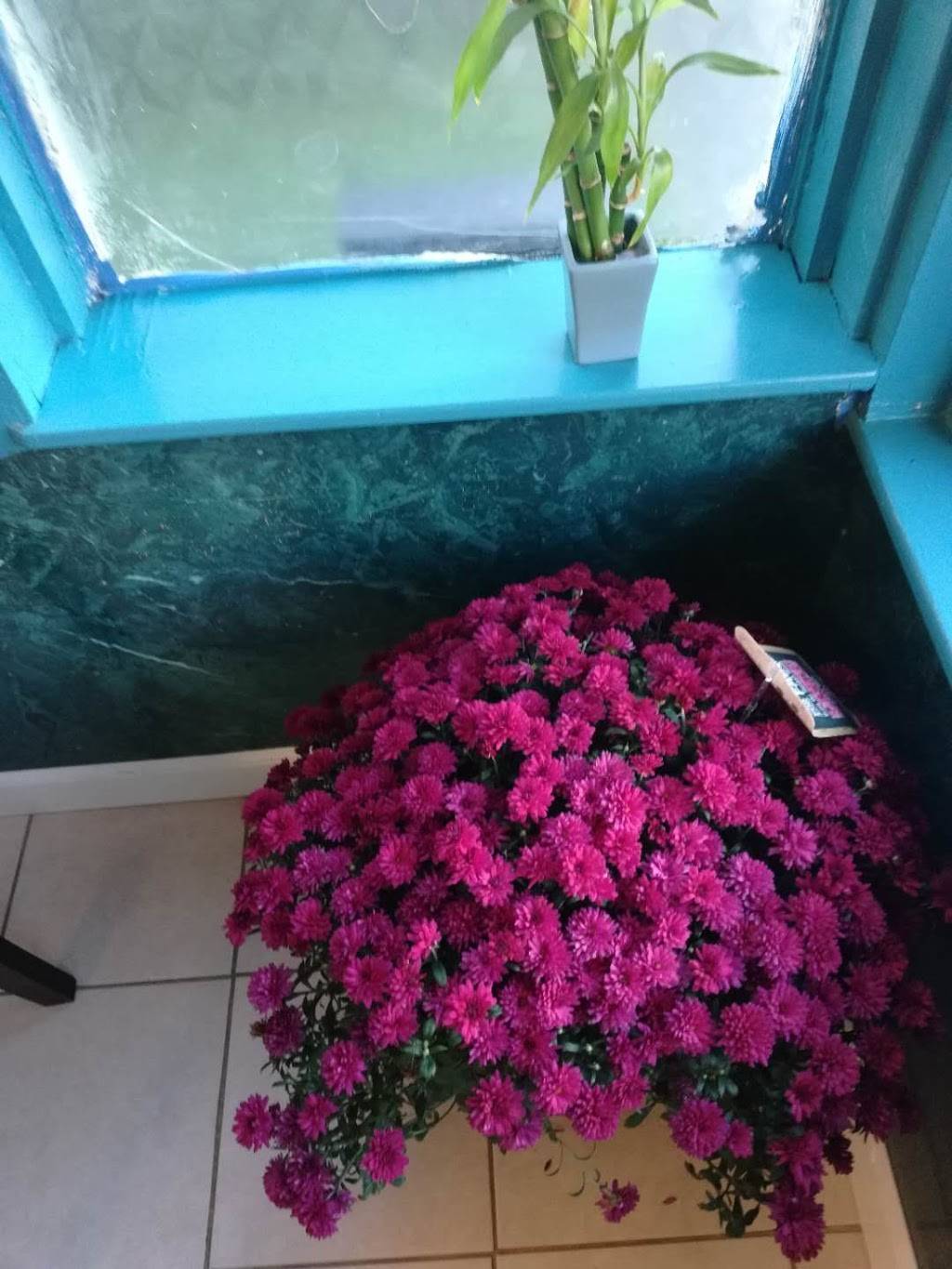 Springs Garden | restaurant | 1019 Main St, Avoca, PA 18641, USA | 5704573204 OR +1 570-457-3204