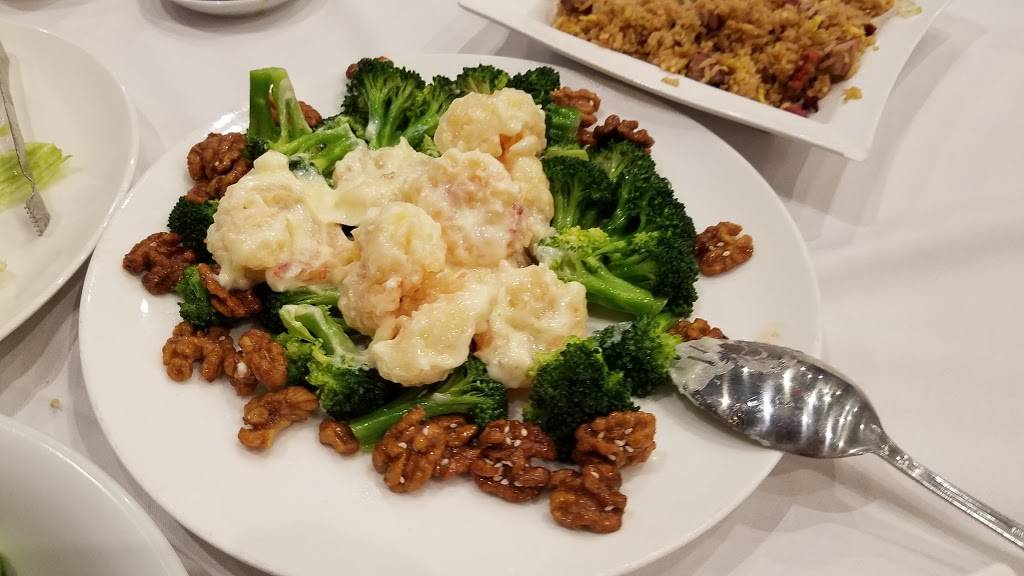 Orient Odyssey | restaurant | 511 N Broadway, Jericho, NY 11753, USA | 5167190021 OR +1 516-719-0021