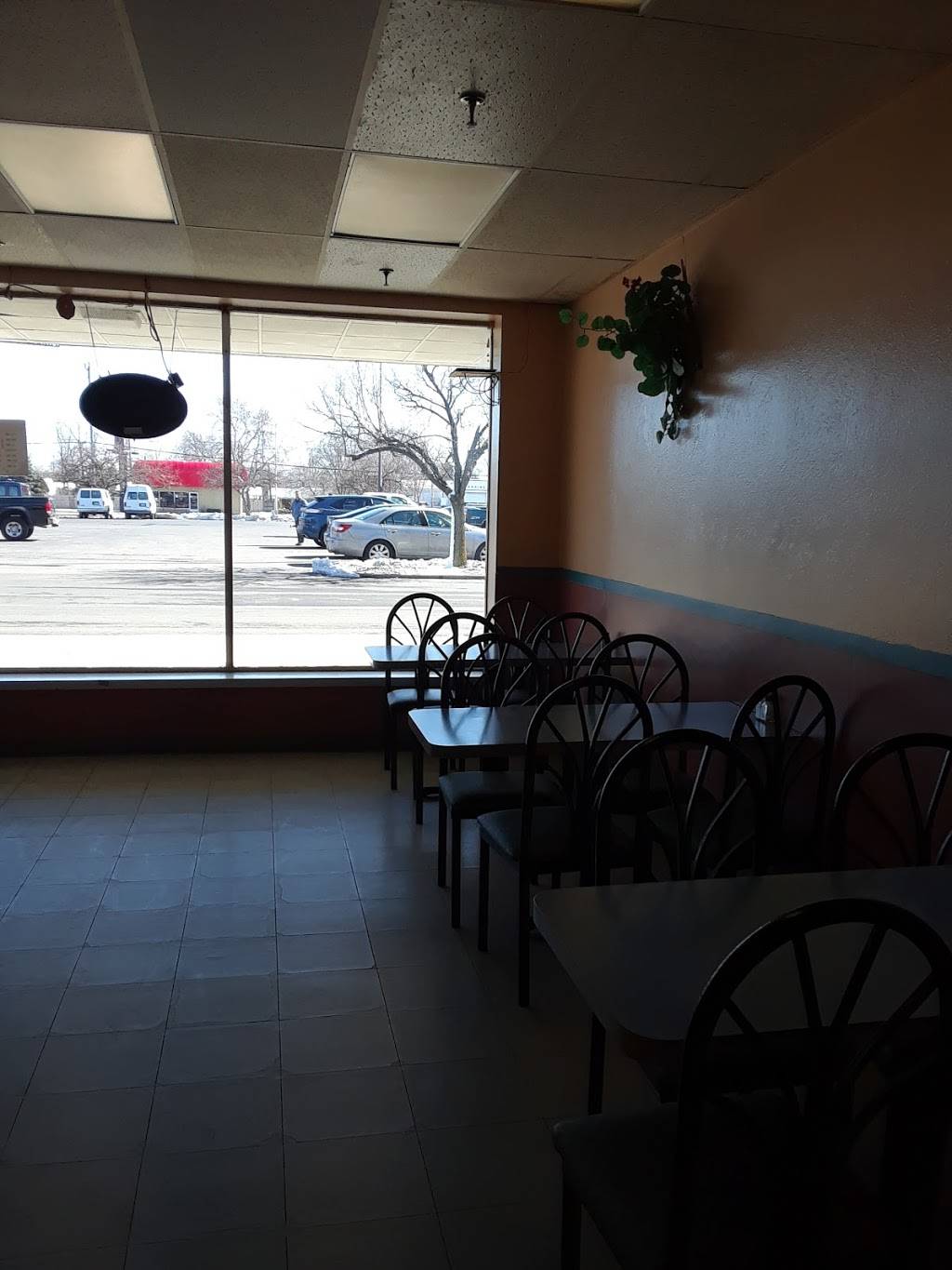 China Wok Restaurant of Monroe | restaurant | 229 N Telegraph Rd, Monroe, MI 48162, USA | 7342431818 OR +1 734-243-1818