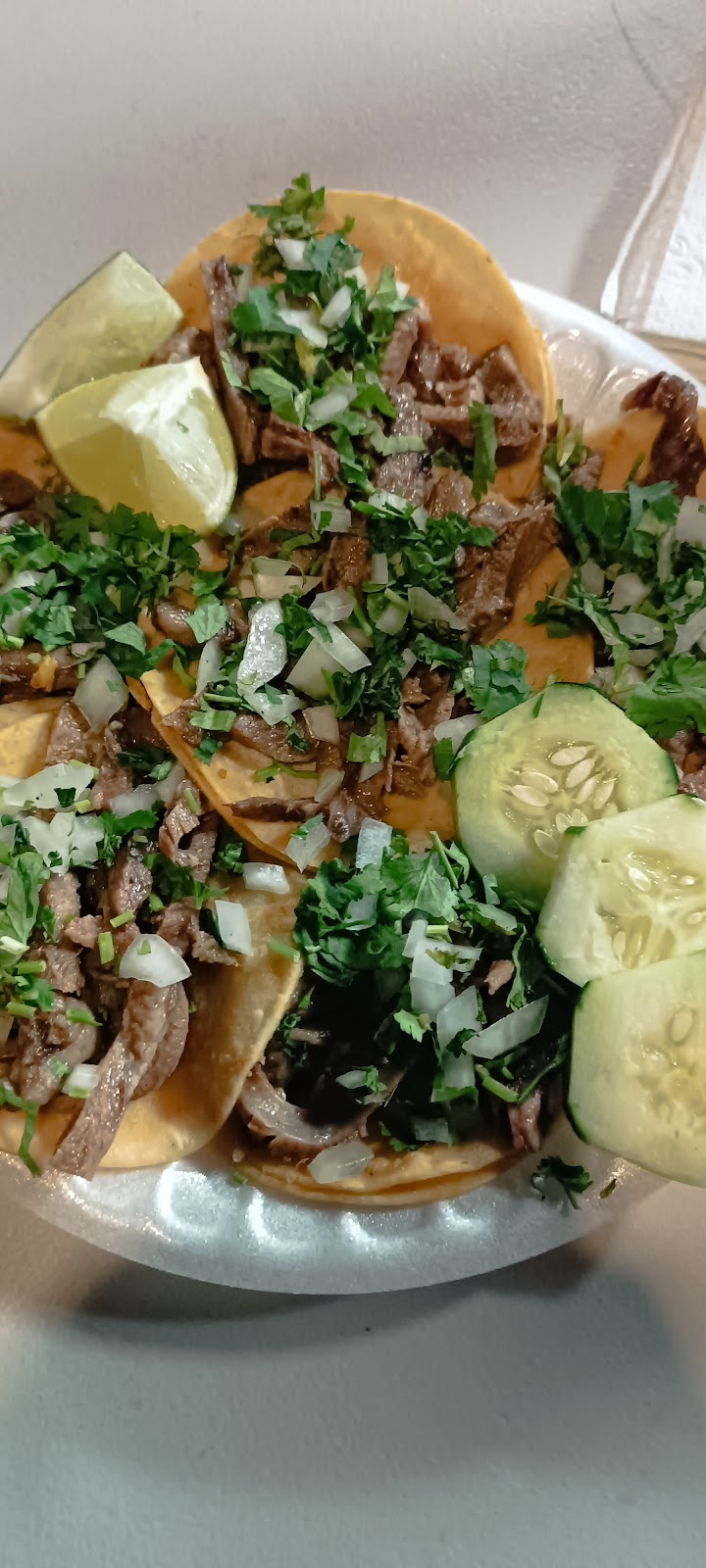 Tacos Piratas Sabor Mexicano LLC. | restaurant | 2020 N Scottsdale Rd, Scottsdale, AZ 85257, USA | 4807427675 OR +1 480-742-7675