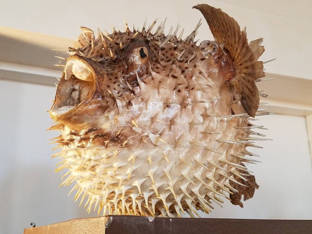 Hawthorne Coffee Roasters | cafe | 4177 S Howell Ave, Milwaukee, WI 53207, USA | 4143311382 OR +1 414-331-1382