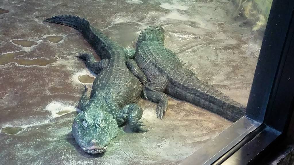 Stone Harbor Golf Club | restaurant | 905 U.S. 9, Cape May Court House, NJ 08210, USA | 6094659270 OR +1 609-465-9270