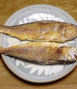 Taqueria El Rinconsito of Federal Way | restaurant | 25914 Pacific Hwy S #5514, Kent, WA 98032, USA | 2539451116 OR +1 253-945-1116