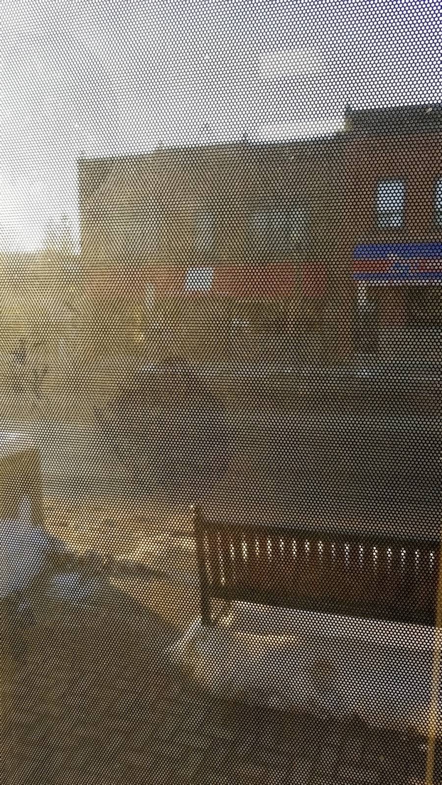 Tien Lee Restaurant | restaurant | 32 Arthur St S, Elmira, ON N3B 2M7, Canada | 5196692820 OR +1 519-669-2820