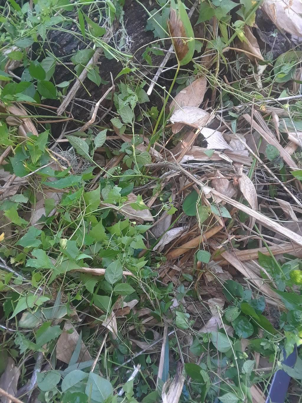 Subway | restaurant | 12870 Trade Way Four, Bonita Springs, FL 34135, USA | 2399485556 OR +1 239-948-5556