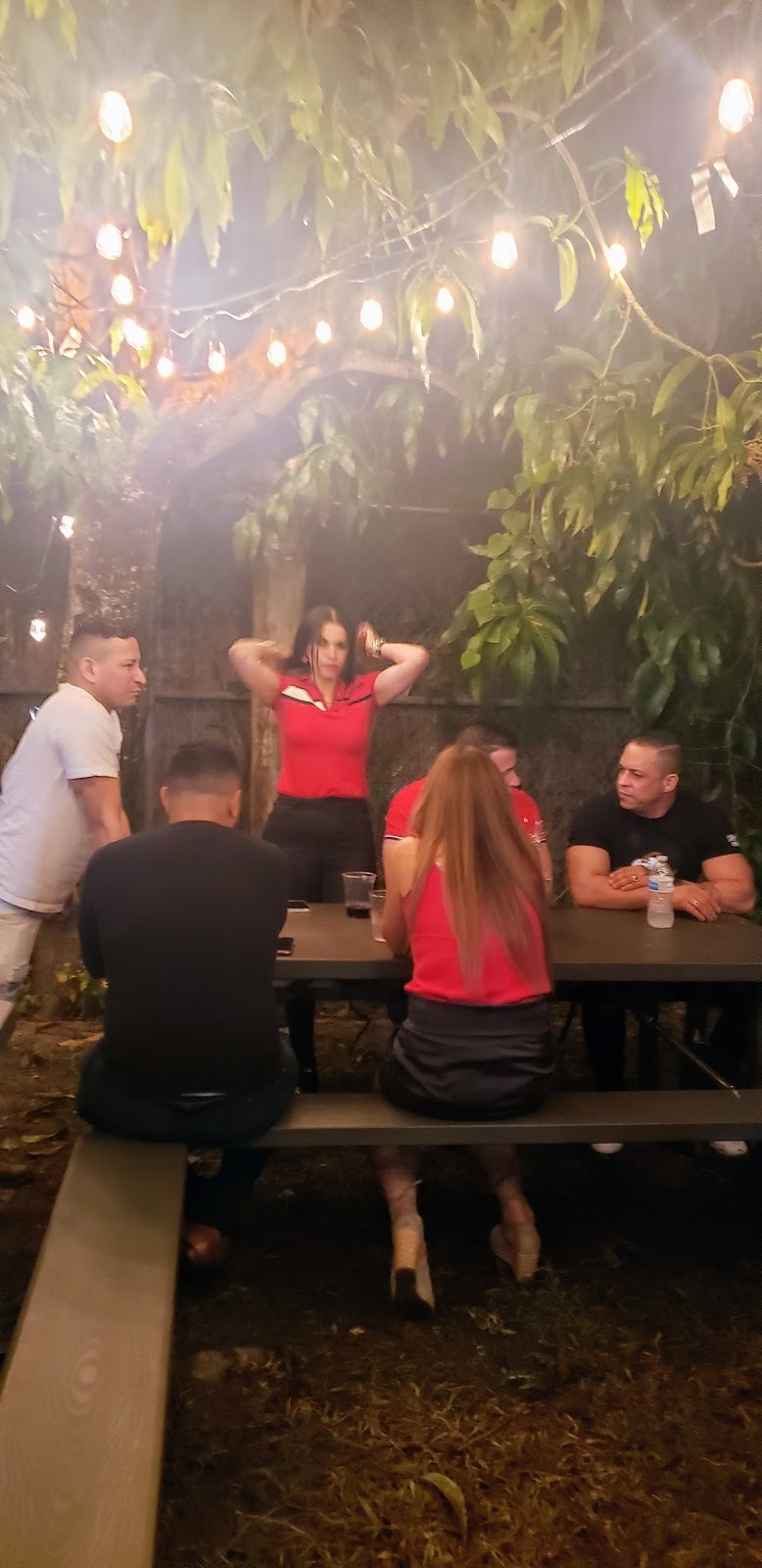 Cantina Catrina Food Truck | restaurant | 337 NE 27th St, Miami, FL 33137, USA | 7865608779 OR +1 786-560-8779