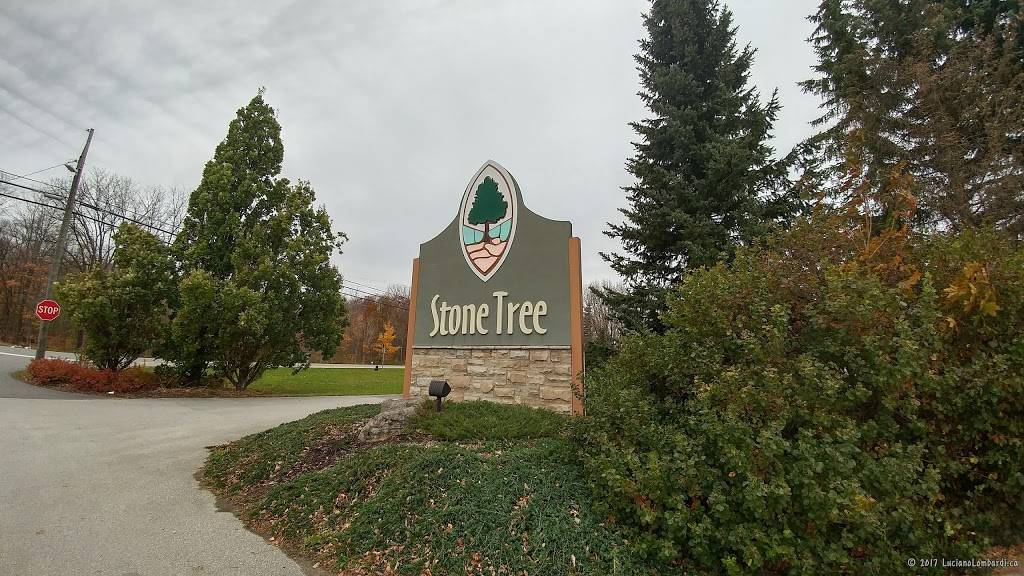Stone Tree - Golf, Fitness and Banquets | restaurant | 318085 Hwy 6&10, Owen Sound, ON N4K 5N6, Canada | 5193767899 OR +1 519-376-7899