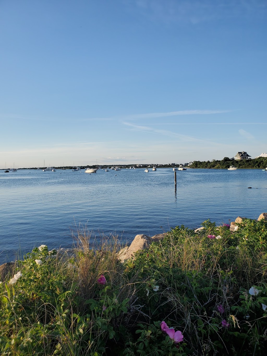 Dead Eye Dicks | restaurant | 218 Ocean Ave, New Shoreham, RI 02807, USA | 4014662654 OR +1 401-466-2654