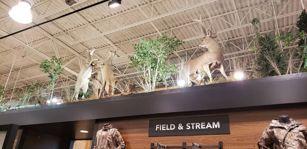 Wendys | restaurant | 1904 Jackson Ave W, Oxford, MS 38655, USA | 6622349207 OR +1 662-234-9207