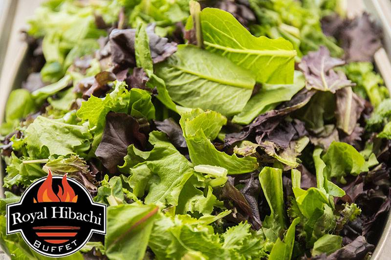 Royal Hibachi Grill Buffet | restaurant | 189 US-46, Saddle Brook, NJ 07663, USA | 2019685886 OR +1 201-968-5886