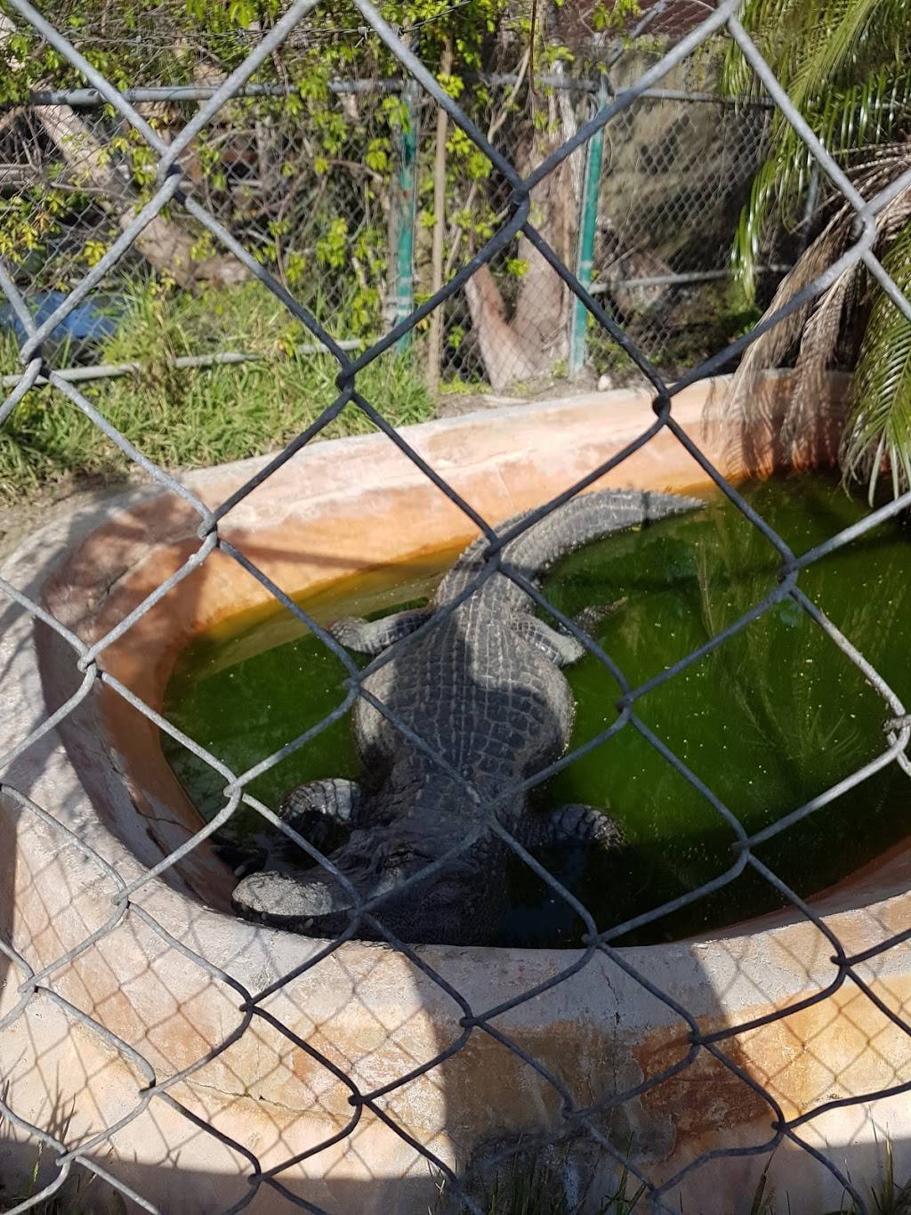 Coopertown The Original Airboat Tour | restaurant | 22700 SW 8th St, Miami, FL 33194, USA | 3052266048 OR +1 305-226-6048