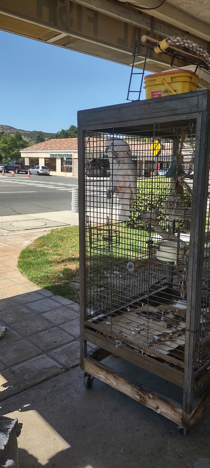 Diar, Inc. | meal takeaway | 2671 Thousand Oaks Blvd, Thousand Oaks, CA 91362, USA | 8054943646 OR +1 805-494-3646