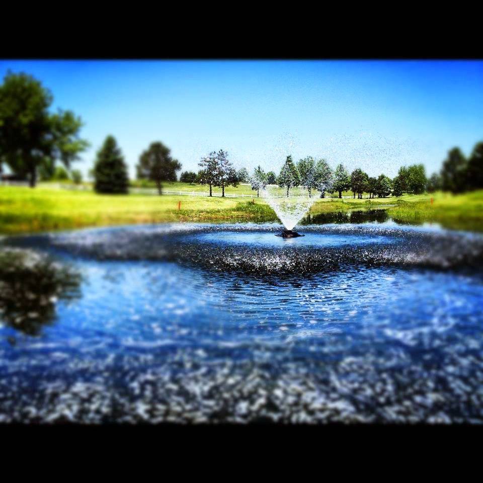 Southern Hills Golf Course | restaurant | 18950 Chippendale Ave, Farmington, MN 55024, USA | 6514634653 OR +1 651-463-4653