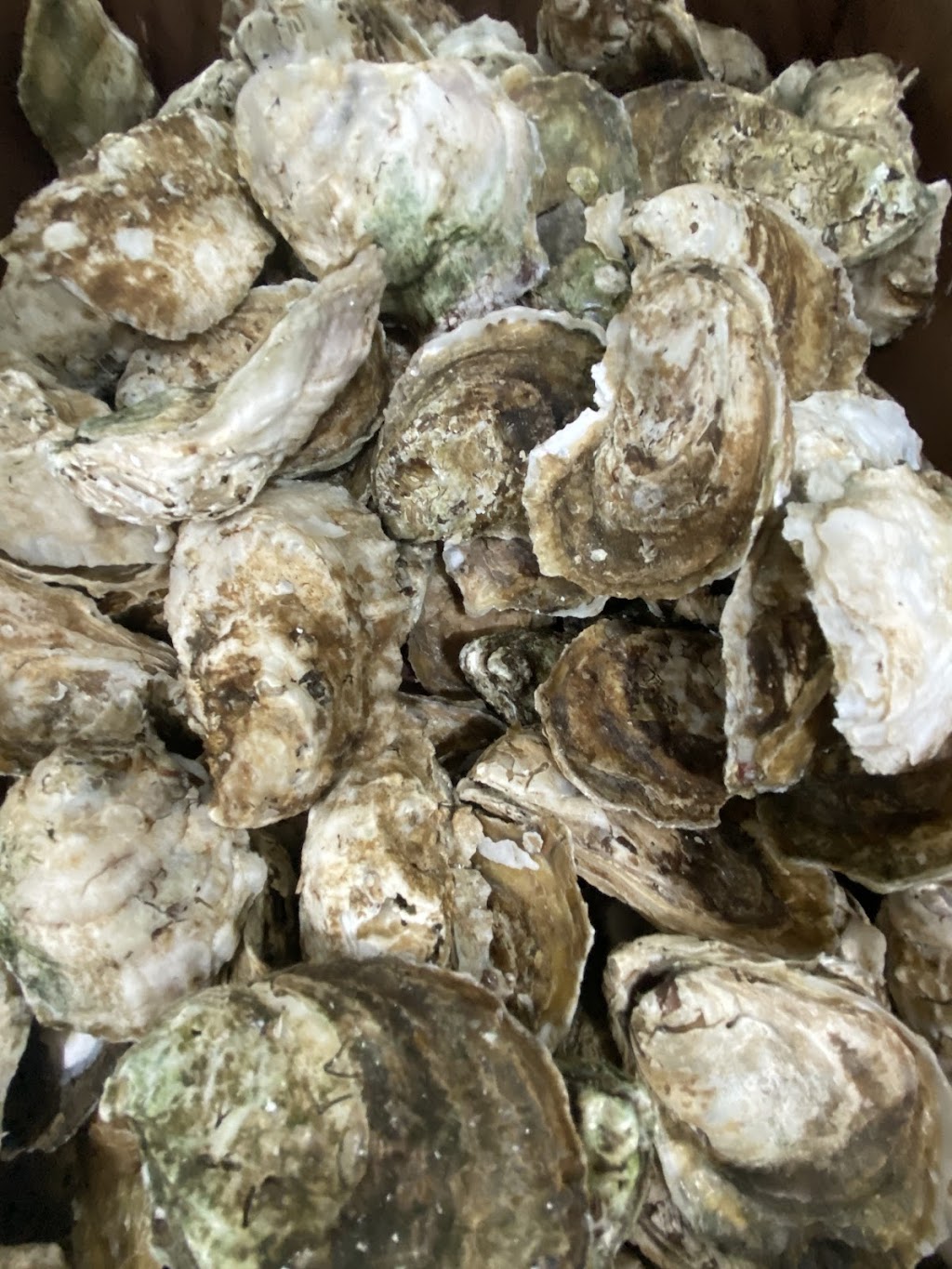 N.N. Crab Shack | restaurant | 5057 Jessie Dupont Memorial Hwy, Heathsville, VA 22473, USA | 8045802722 OR +1 804-580-2722