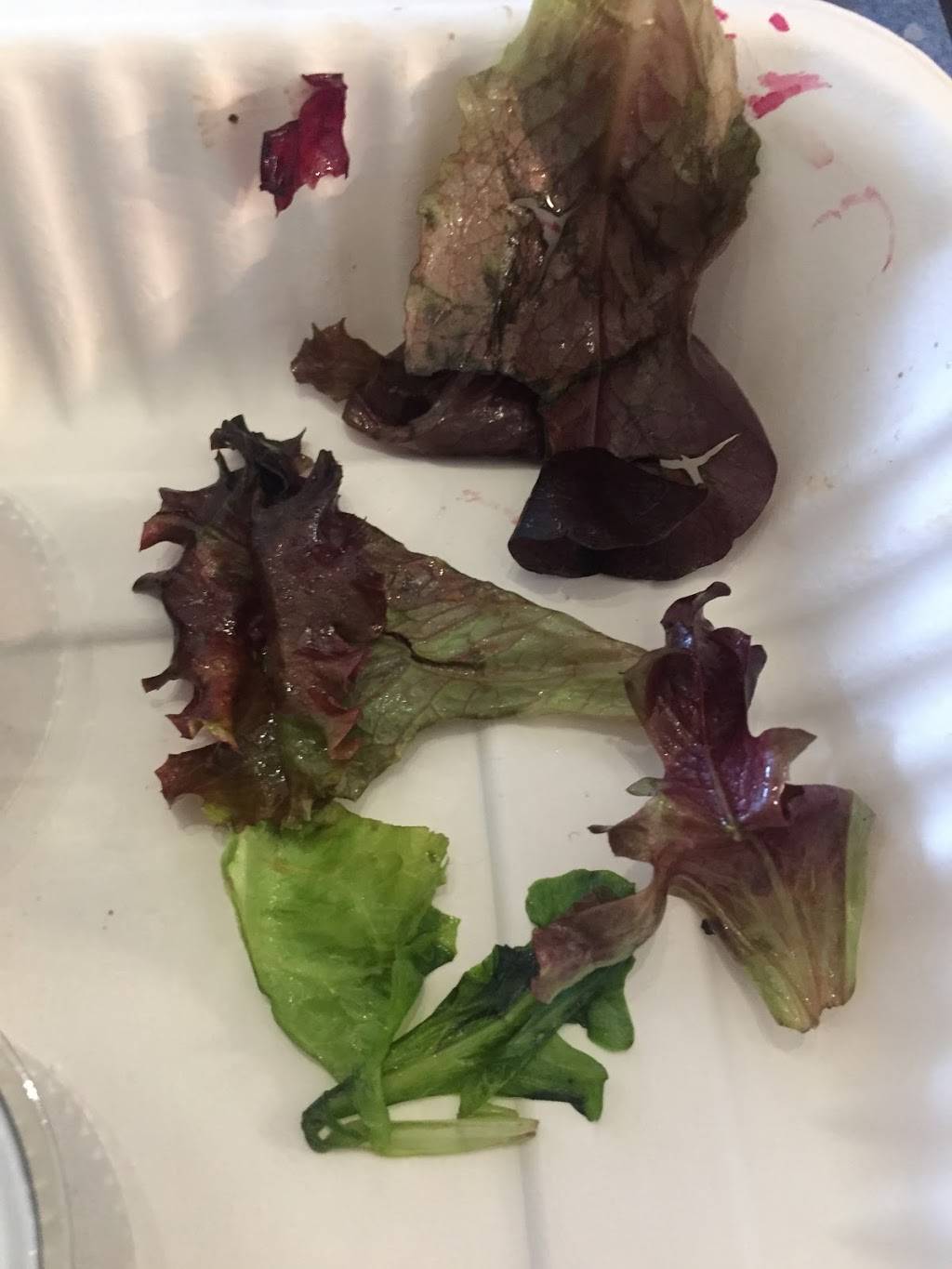 Willies Café | restaurant | 630 Dundas St, London, ON N5W 2Y8, Canada | 5194339027 OR +1 519-433-9027