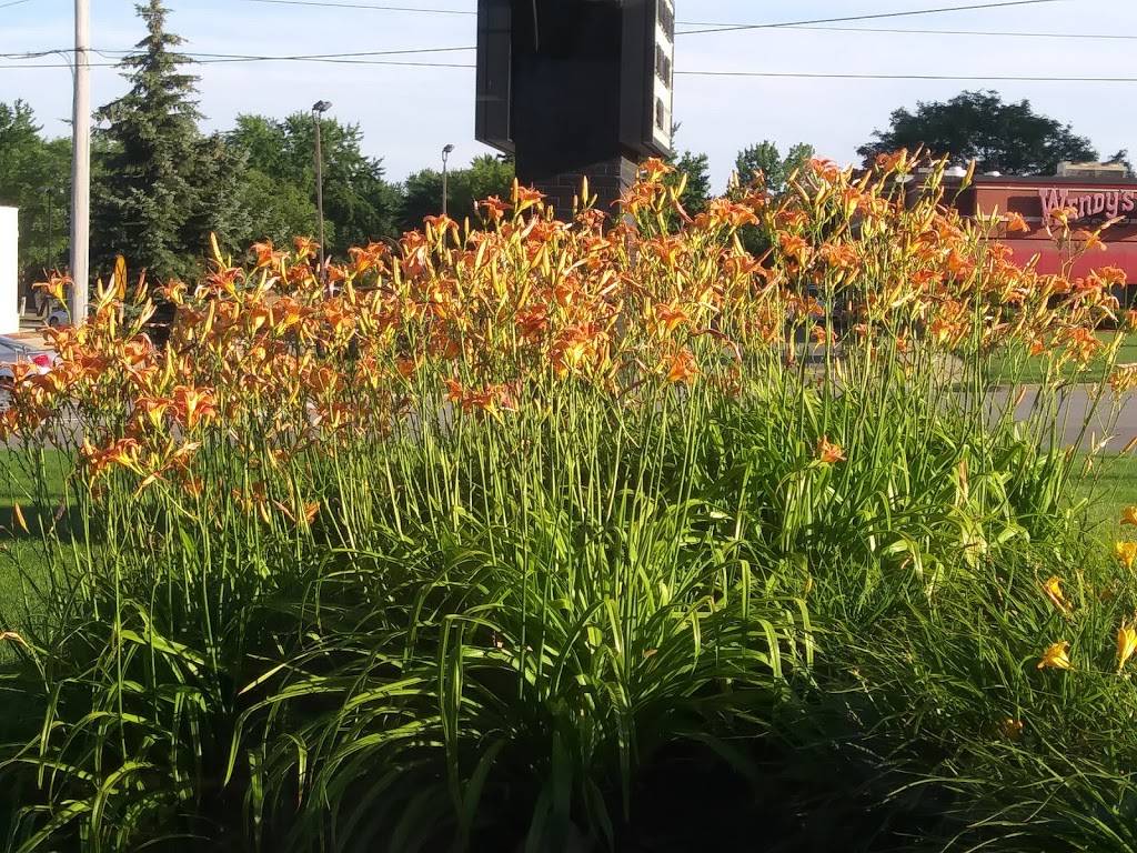 Burger King | restaurant | 471 68th St SW, Grand Rapids, MI 49548, USA | 6168270684 OR +1 616-827-0684