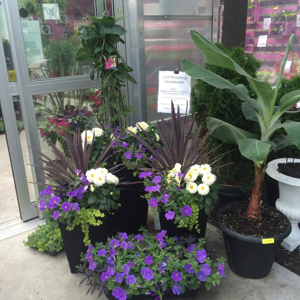 Wildhagen Greenhouses | restaurant | 7291 Milburough Line, Milton, ON L0P 1B0, Canada | 9056898427 OR +1 905-689-8427