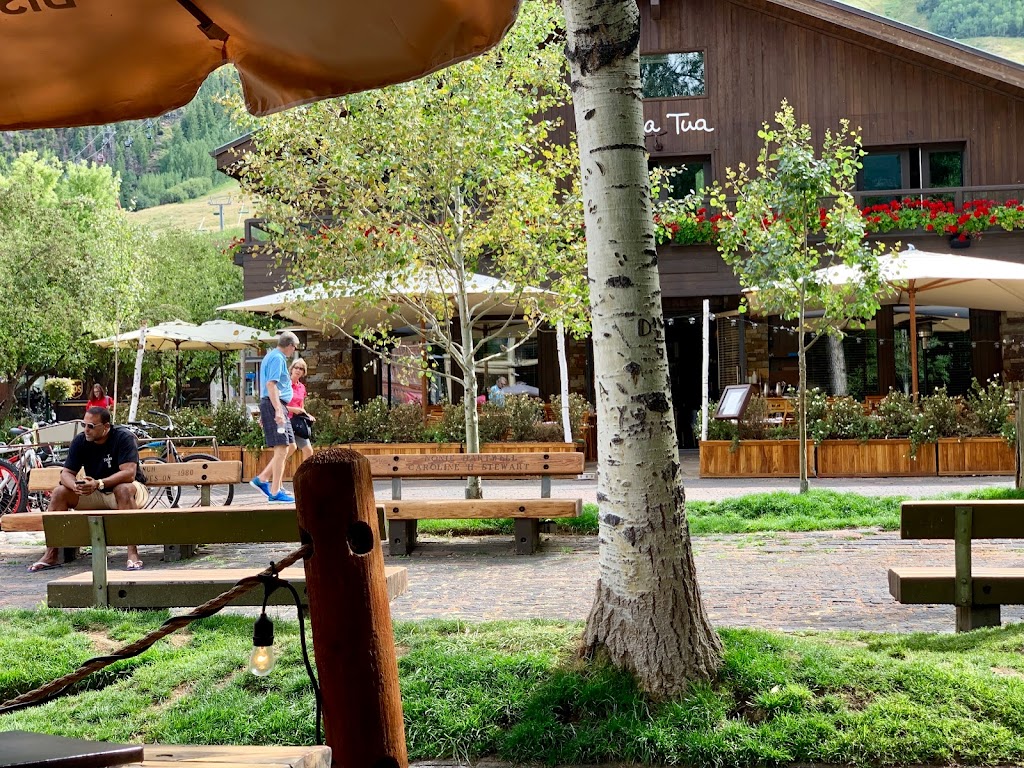 Rynos | restaurant | 305 Gold Rivers Ct, Basalt, CO 81621, USA | 9702795174 OR +1 970-279-5174