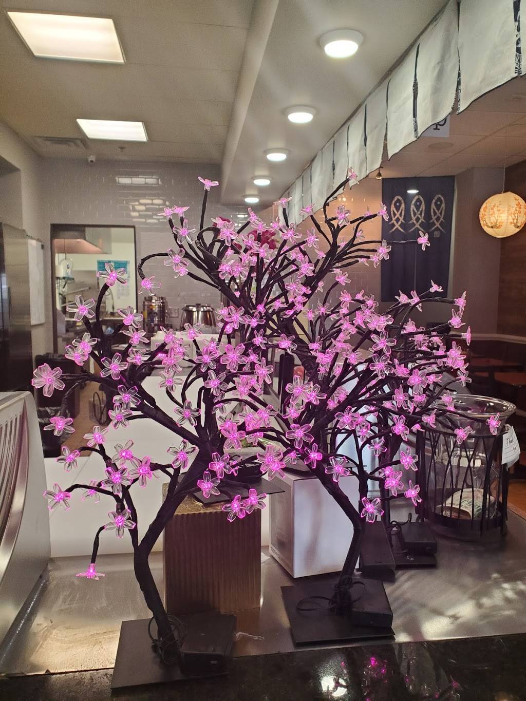 Bahdah Sushi | restaurant | 32832 Woodward Ave, Royal Oak, MI 48073, USA | 2485565444 OR +1 248-556-5444