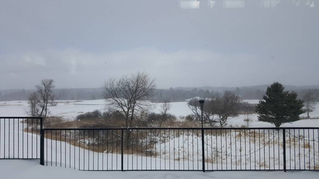 Cadillac Grill | restaurant | 7839 46 1/2 Rd, Cadillac, MI 49601, USA | 2317793663 OR +1 231-779-3663