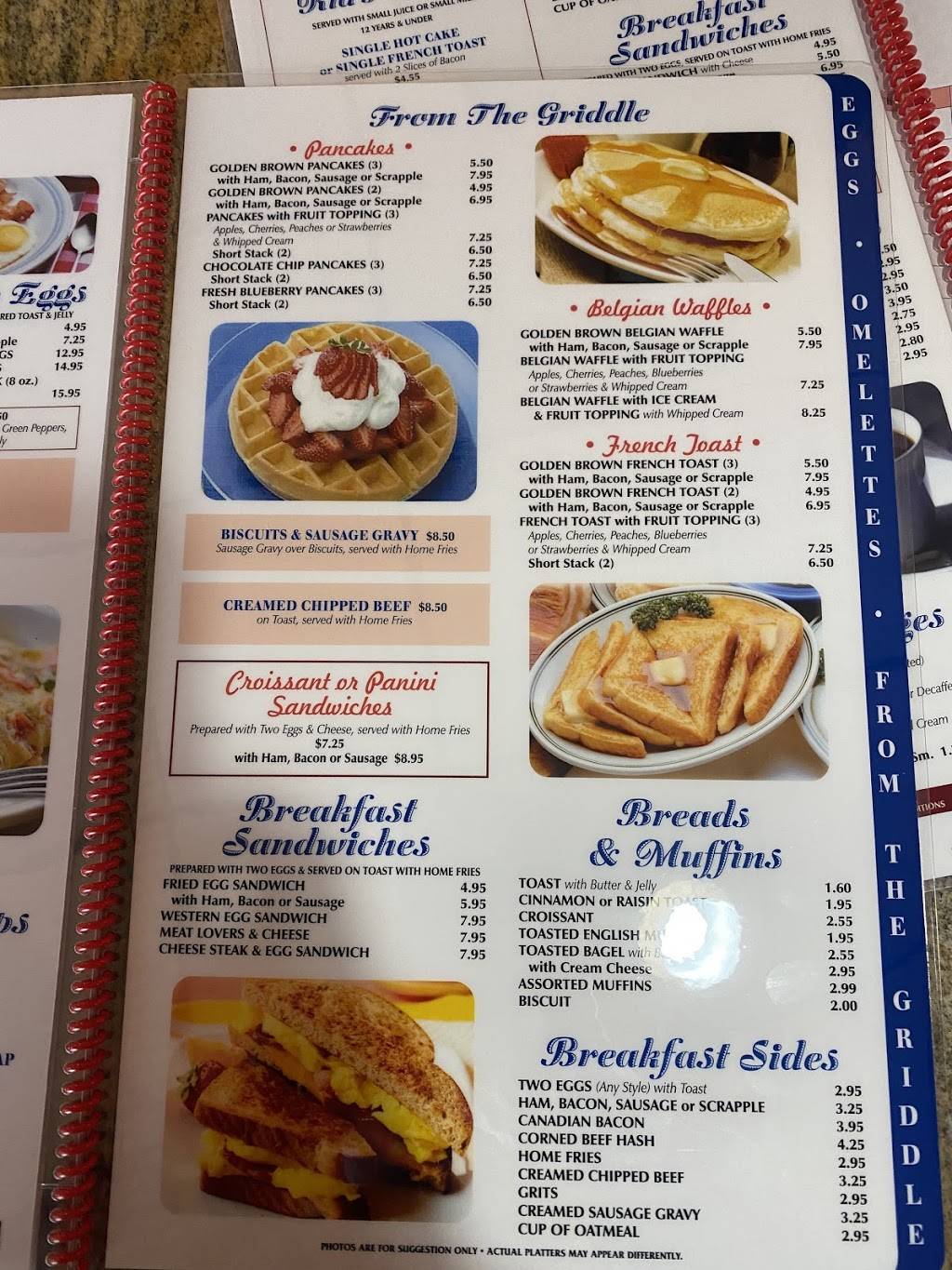 The New Schnecksville Family Diner | restaurant | 4527 PA-309, Schnecksville, PA 18078, USA | 6107603018 OR +1 610-760-3018