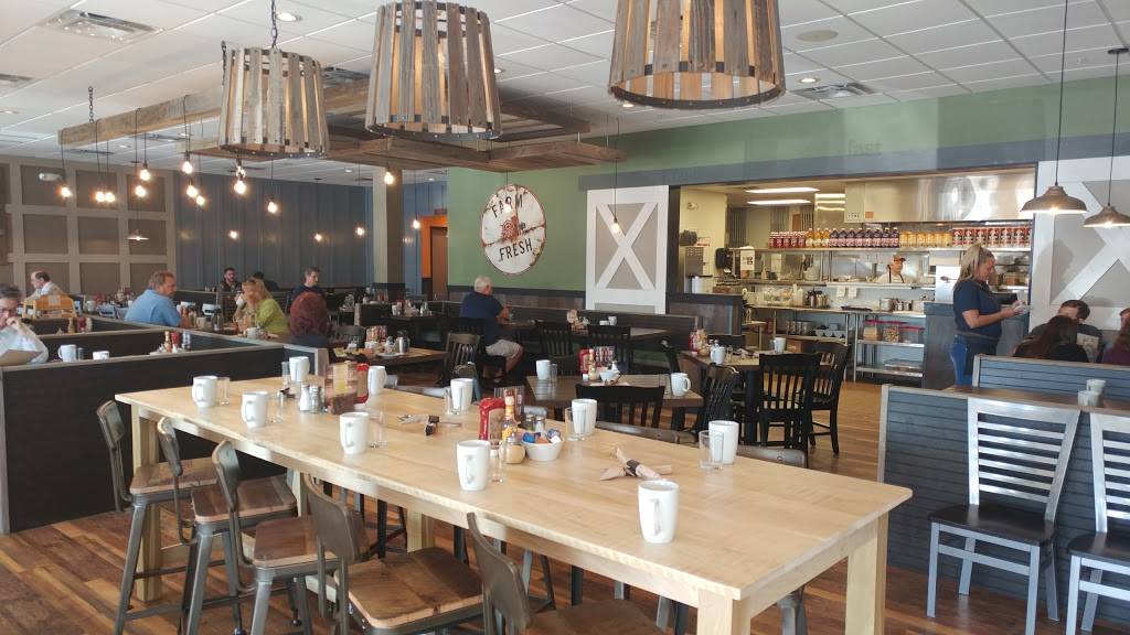 First Watch - Palm Harbor | restaurant | 35146 US Hwy 19 N, Palm Harbor, FL 34684, USA | 7277893447 OR +1 727-789-3447