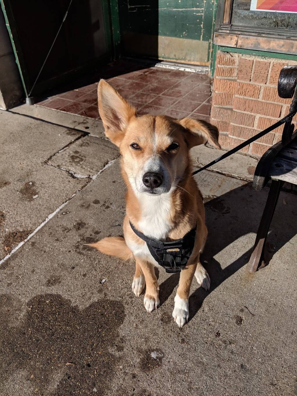 Tilia | restaurant | 2726 W 43rd St, Minneapolis, MN 55410, USA | 6123542806 OR +1 612-354-2806