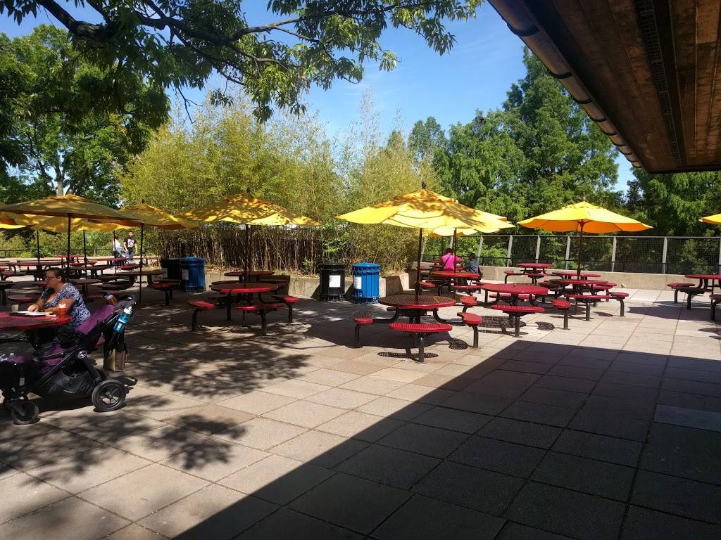 Panda Overlook Cafe | restaurant | Washington, DC 20008, USA | 2026334888 OR +1 202-633-4888