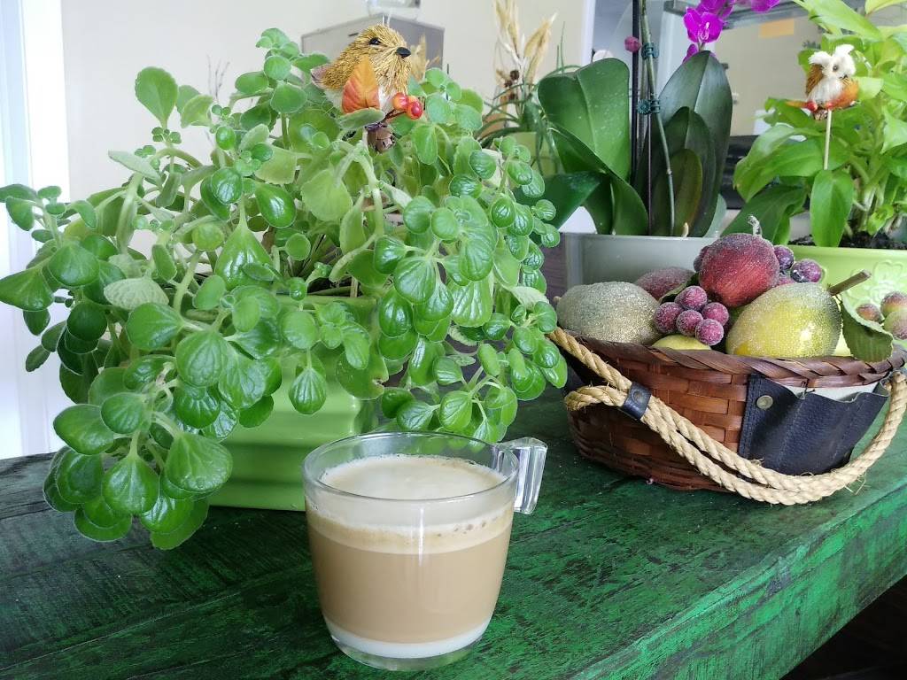 The Green Witch Juice Bar & Cafe | cafe | 2845 Highway Ave, Highland, IN 46322, USA | 2198034444 OR +1 219-803-4444