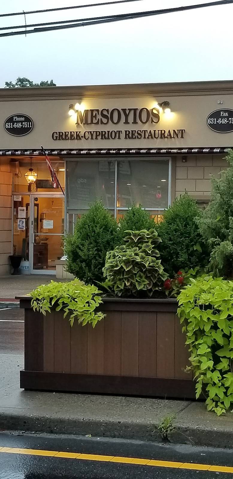 Mesoyios | restaurant | 472 Hawkins Ave, Lake Ronkonkoma, NY 11779, USA | 6316487511 OR +1 631-648-7511