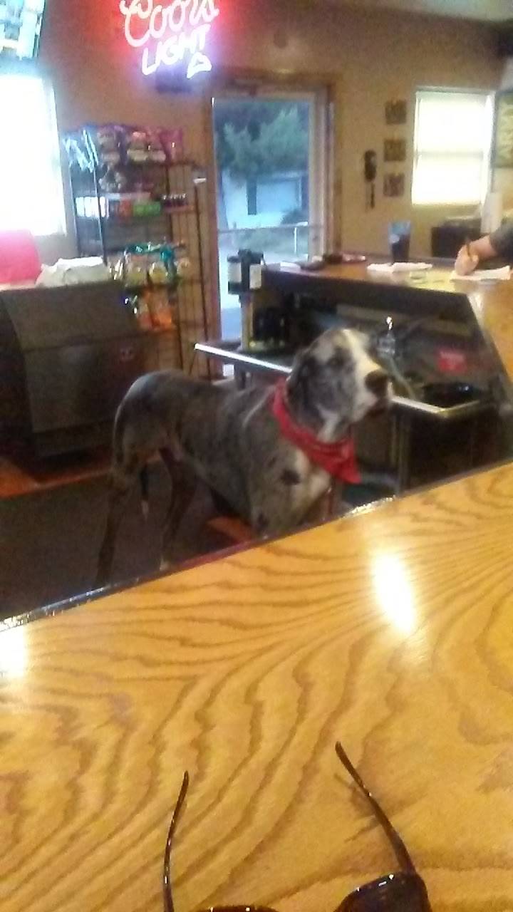 Giovannis Pizza | restaurant | 464 S W St, Piketon, OH 45661, USA | 7402892236 OR +1 740-289-2236