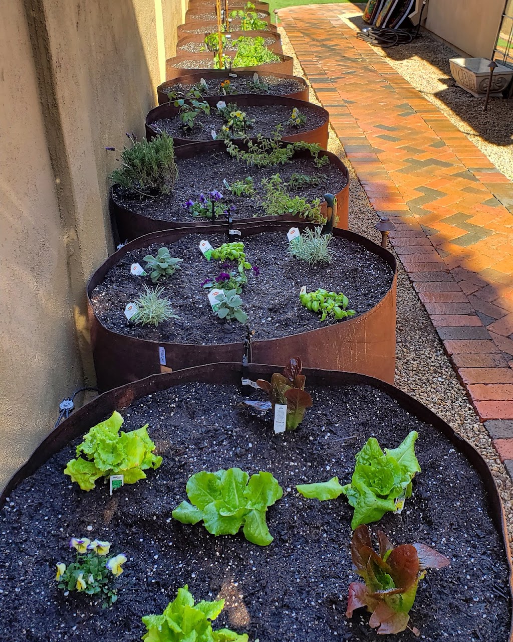 Urban Hills Grow Bag Gardens | restaurant | 557 E Parkview Dr, Gilbert, AZ 85295, USA | 4804867380 OR +1 480-486-7380