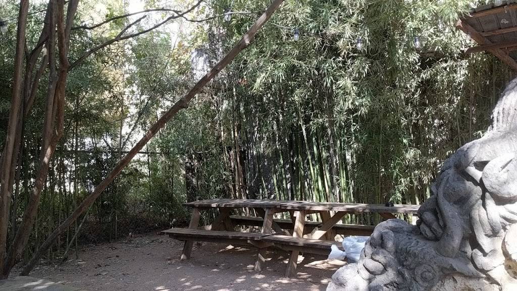 Yellow Jacket Social Club | restaurant | 1704 E 5th St, Austin, TX 78702, USA | 5124809572 OR +1 512-480-9572