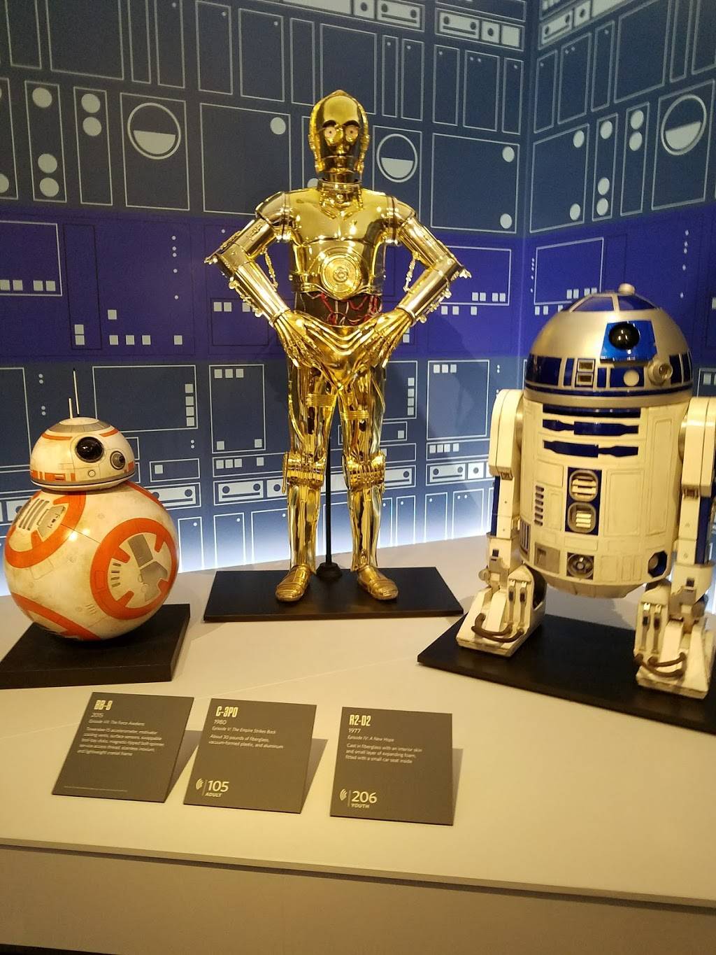 Museum of Fine Arts | restaurant | 255 Beach Dr NE, St. Petersburg, FL 33701, USA | 7278962667 OR +1 727-896-2667