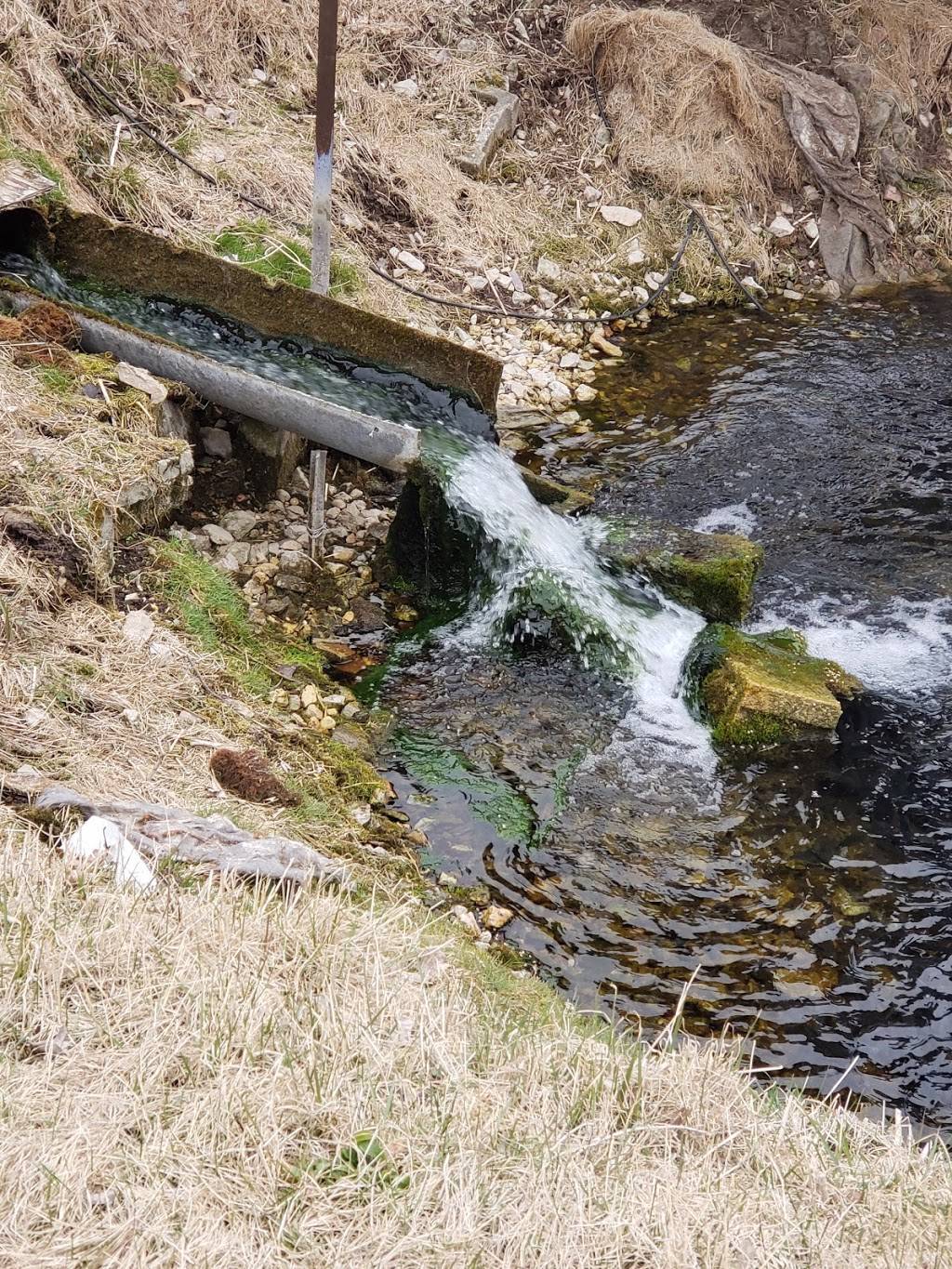 Rushing Waters Fisheries LLC | restaurant | N301 Co Rd H, Palmyra, WI 53156, USA | 2624952998 OR +1 262-495-2998