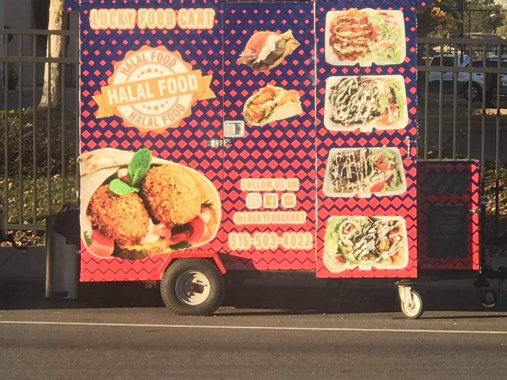 Lucky food Cart | restaurant | 221 Hempstead Turnpike, Elmont, NY 11003, USA | 5165034022 OR +1 516-503-4022