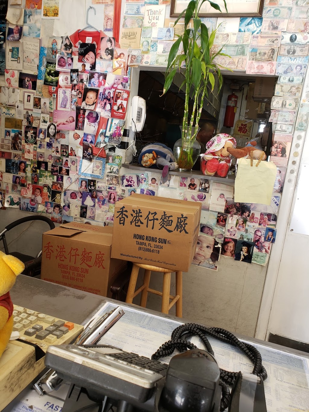 Jan Mei Chinese Takeout & Delivery | meal delivery | 8905 W Oakland Park Blvd, Sunrise, FL 33351, USA | 9547490699 OR +1 954-749-0699