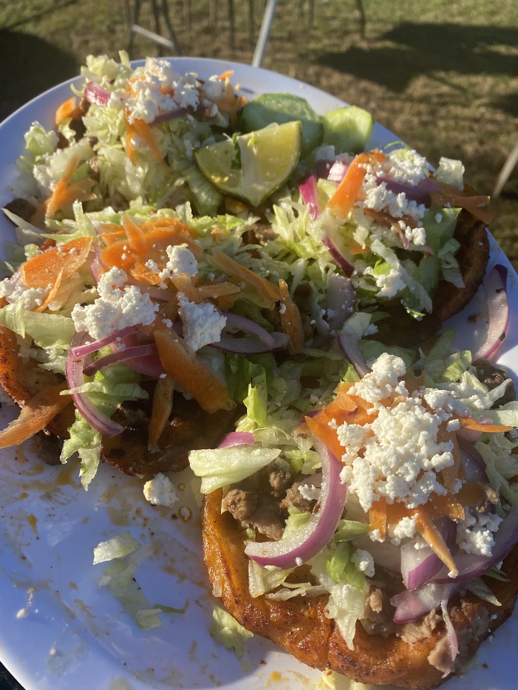 Taqueria Las Tres Coritas | restaurant | 18941 US-301, Dade City, FL 33523, USA | 8133791770 OR +1 813-379-1770