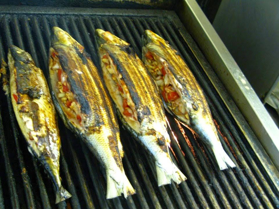 Island Gourmet Restaurant | restaurant | 1421 W 11th St, Tracy, CA 95376, USA | 2098338418 OR +1 209-833-8418