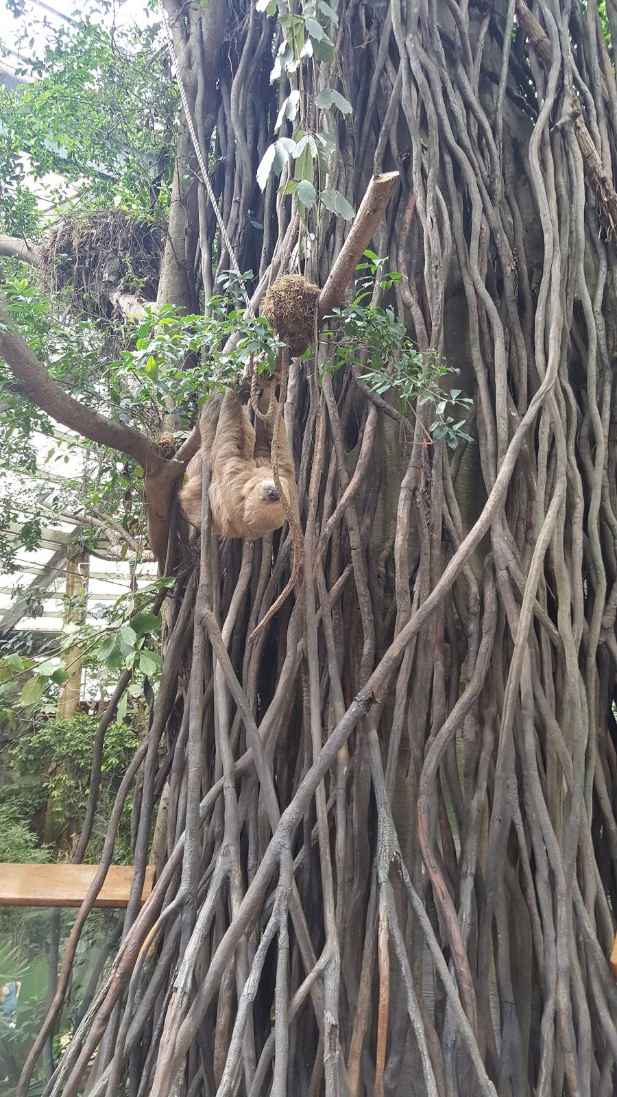 Durham TreeTops Restaurant | restaurant | 3701 S 10th St, Omaha, NE 68107, USA | 4027338401 OR +1 402-733-8401